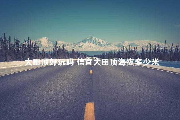 大田顶好玩吗 信宜大田顶海拔多少米